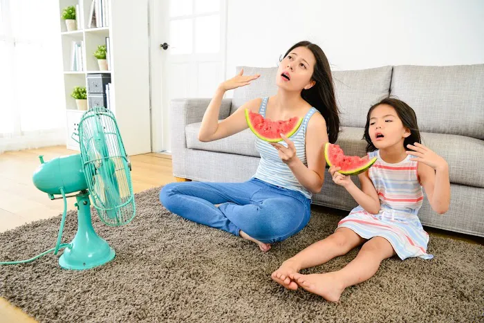 Trust Heating and Air Picture 7