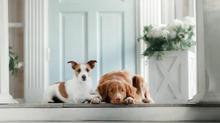 Trust Heating and Air Picture 10