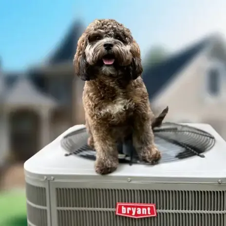 Energy Heating & Air Conditioning Inc Picture 6