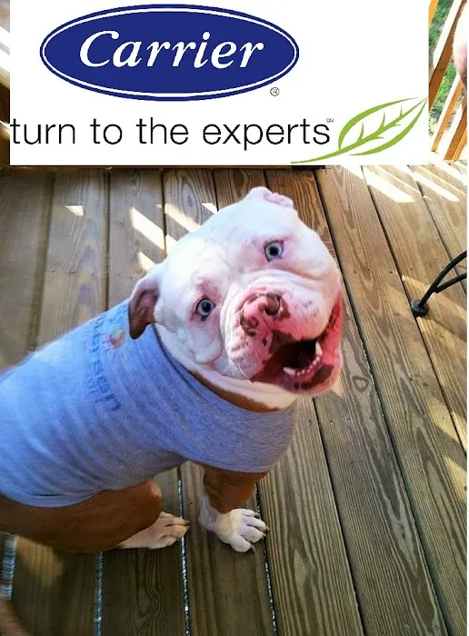 Patterson Heating & Air Inc Picture 10