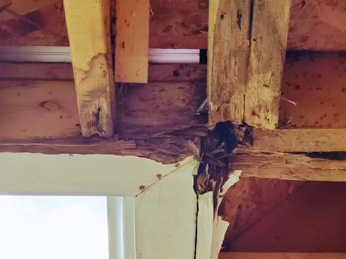 House Master Services Athens Picture 10