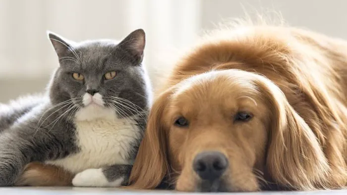 Peppers Heating & Air Picture 5