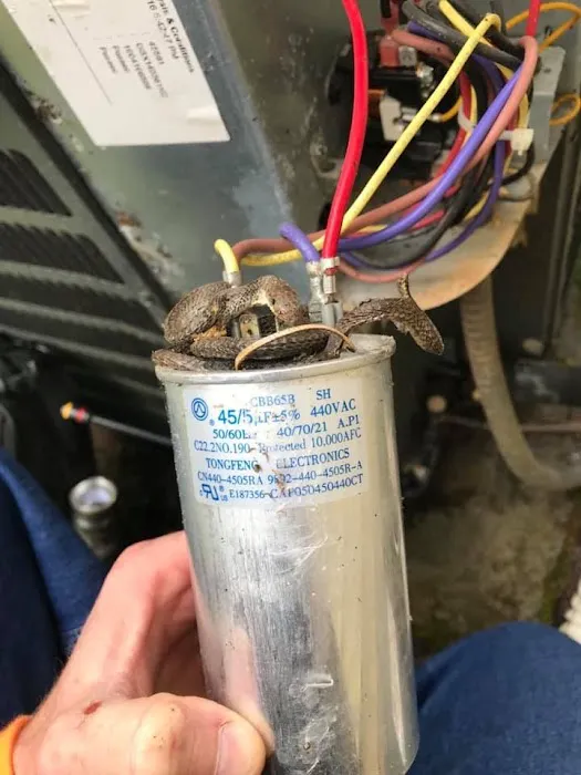 Go 2 Comfort Picture 7