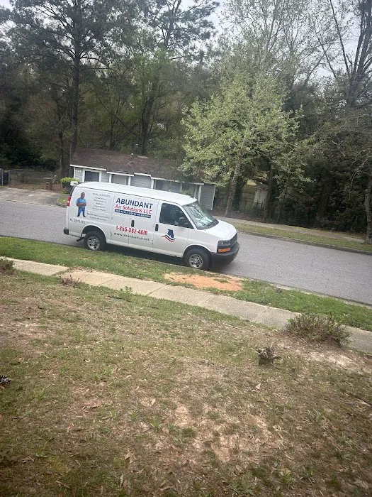 Abundant Air Solutions LLC Picture 5