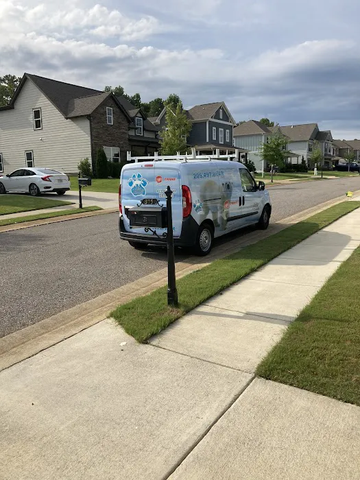 Polar Bear Services Picture 5