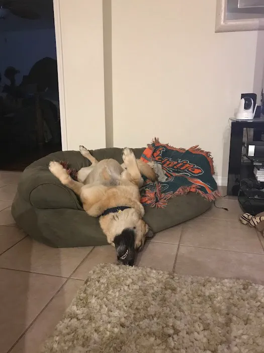 Security Heating & Air Conditioning Picture 5