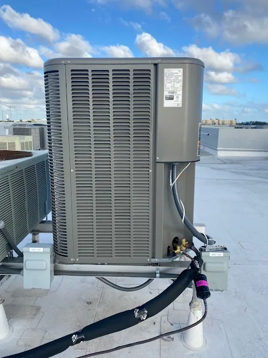 Island Breeze Picture 3