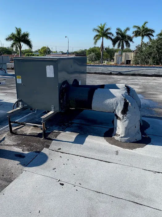 Island Breeze Picture 4