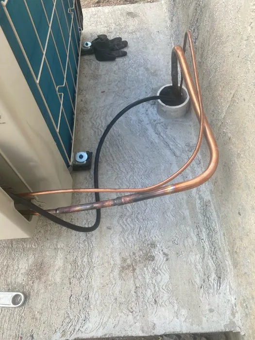 Island Breeze Picture 7