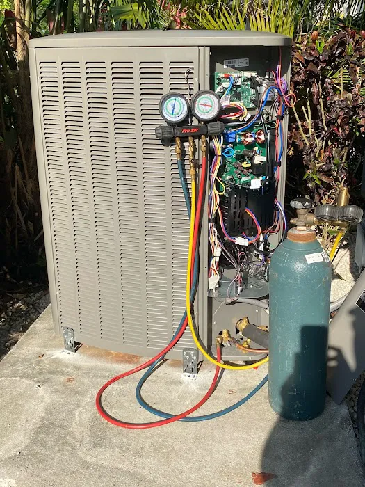 Island Breeze Picture 10