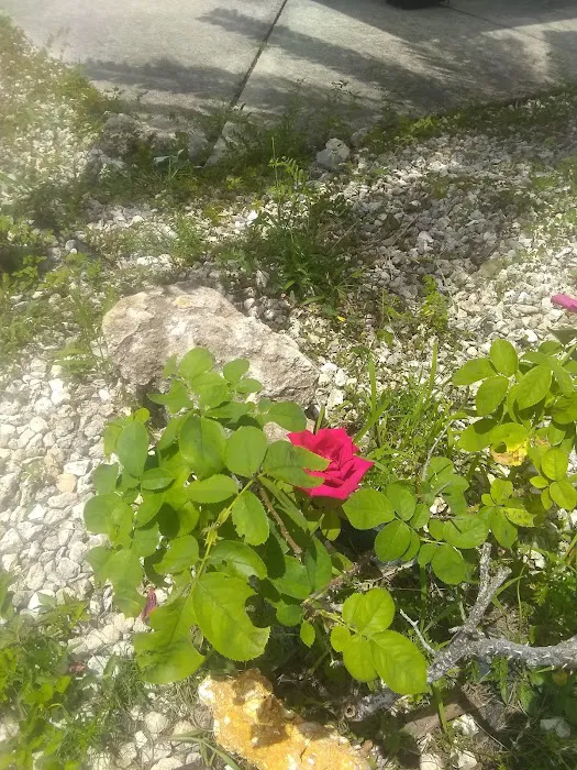 Cape Coral Air Conditioning & Heating Picture 2