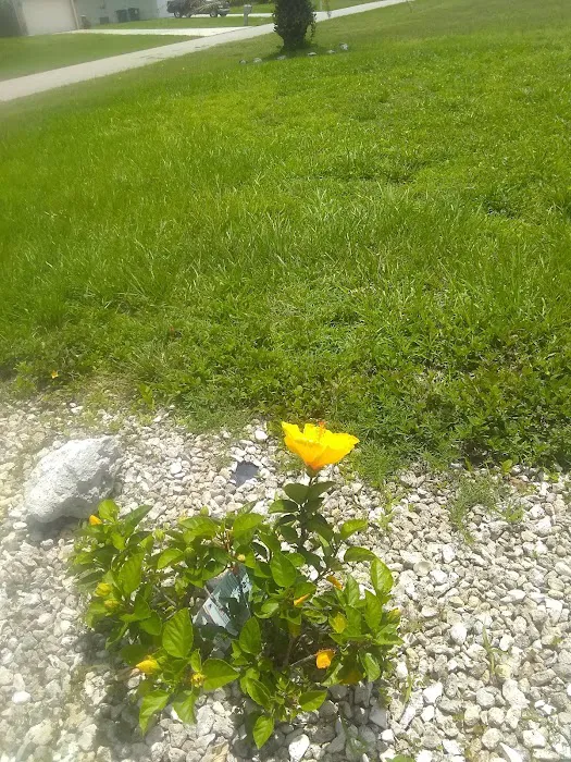 Cape Coral Air Conditioning & Heating Picture 1