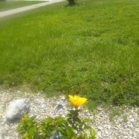 Cape Coral Air Conditioning & Heating ico