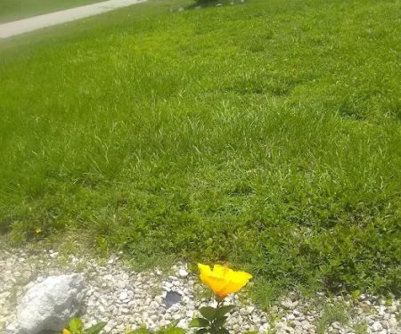 Cape Coral Air Conditioning & Heating