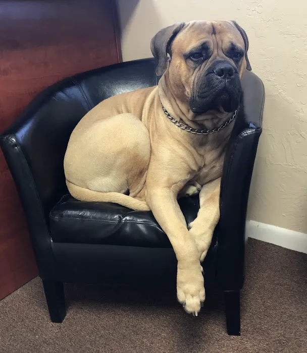 Southwest Heating & Cooling Inc Picture 10