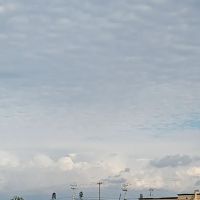 C J's Heating & Air Conditioning Of SWFL Inc. ico