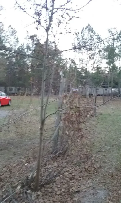 J & J Heating & Air Services Picture 5