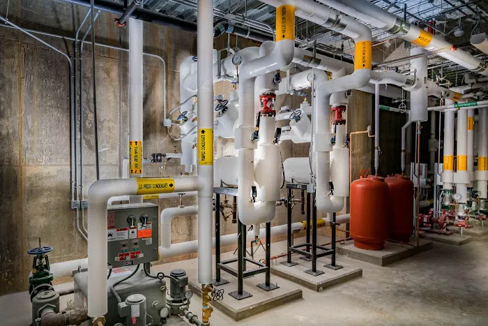 W O Blackstone & Co Inc Picture 2