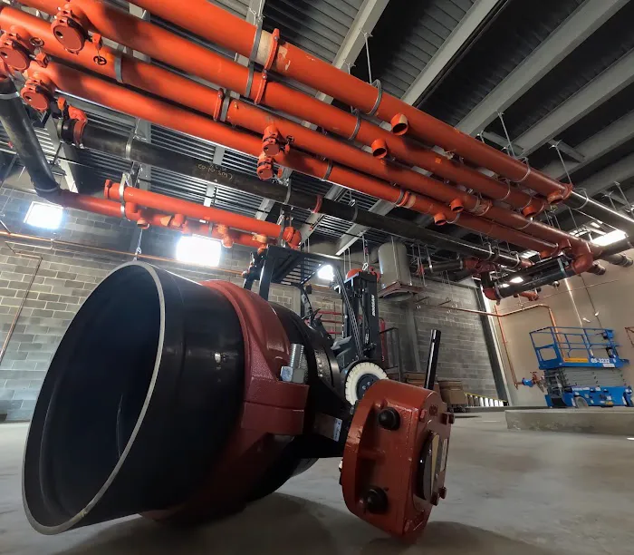 W. B. Guimarin & Co. Picture 9