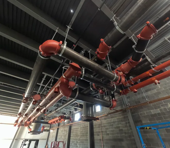 W. B. Guimarin & Co. Picture 8