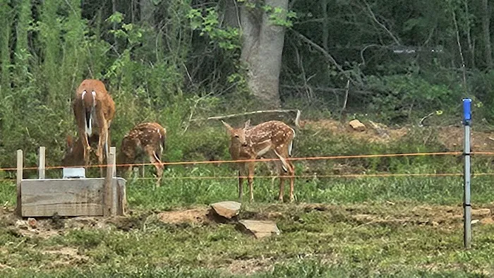 B&C Mechanical Picture 1