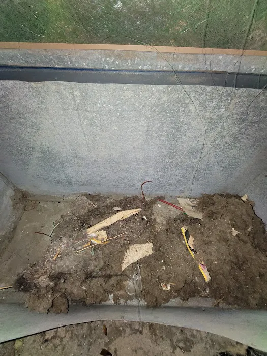 Quality Air Care HVAC Company & Air Duct Cleaning Picture 9