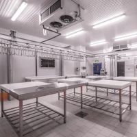 Matthew Service Group Co ico