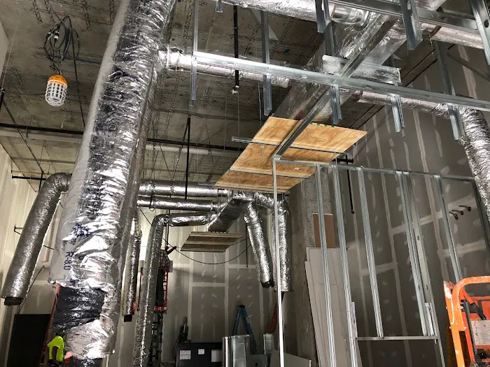 .BLP X3:. 404 Picture 4