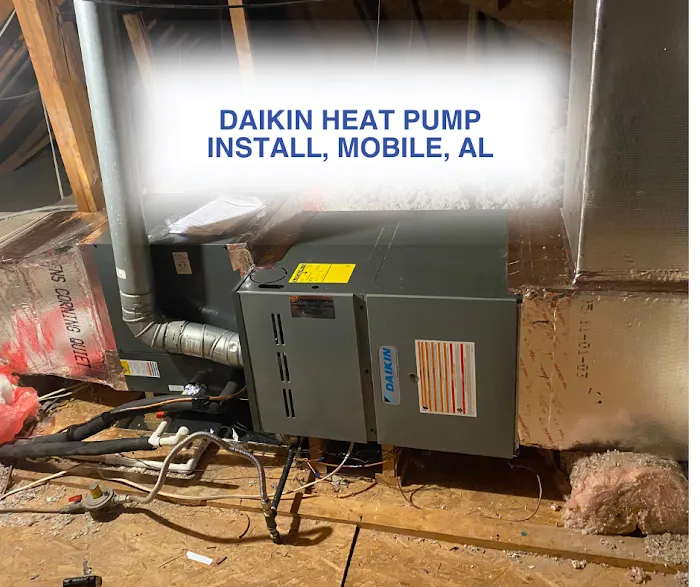 Batchelor's Service Picture 3