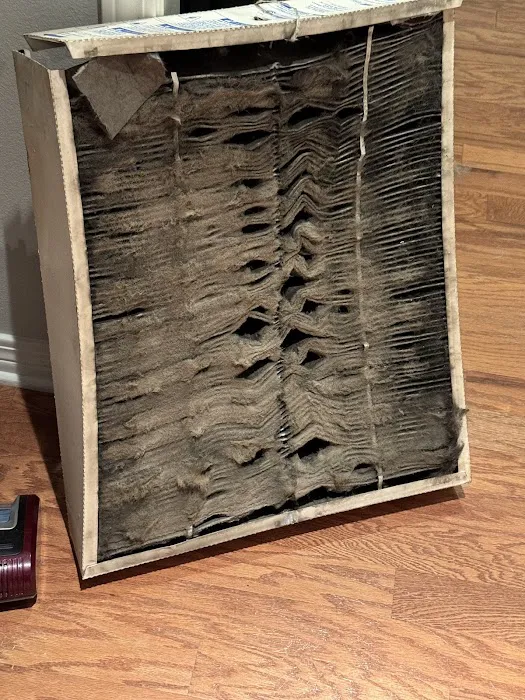 Batchelor's Service Picture 5