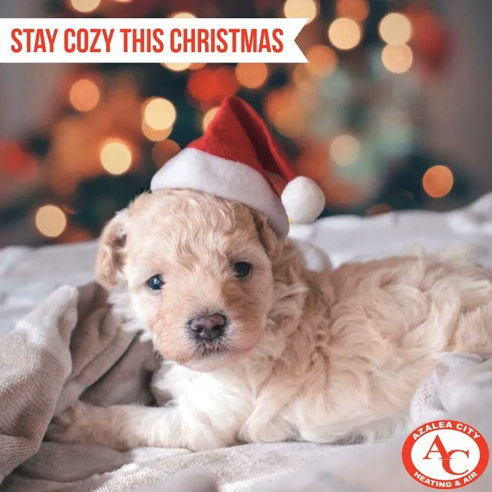 Azalea City Heating & Air Picture 5