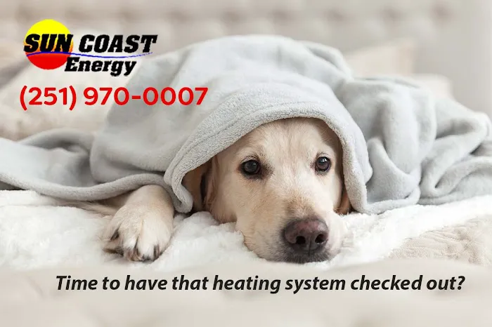 Sun Coast Energy Picture 1