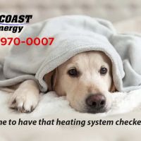 Sun Coast Energy ico