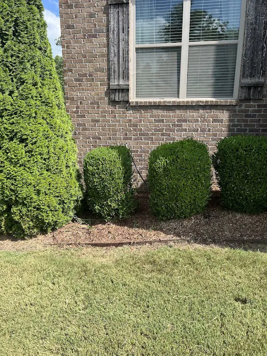 Wilbur's Air Conditioning, Heating & Plumbing Picture 4