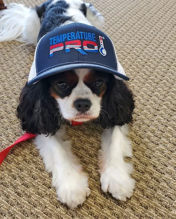 TemperaturePro Picture 5