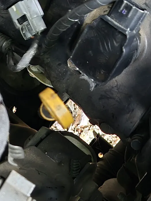 Express Oil Change & Tire Engineers Picture 3