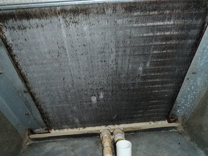 CAPTIVA COOLING, INC Picture 1