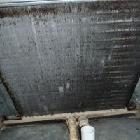 CAPTIVA COOLING, INC ico