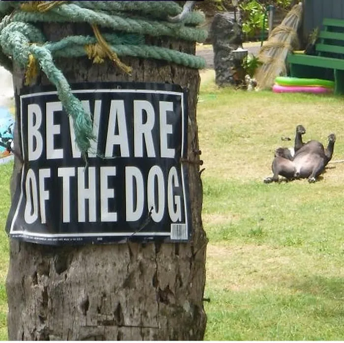 Causey's Tiger Air Picture 2