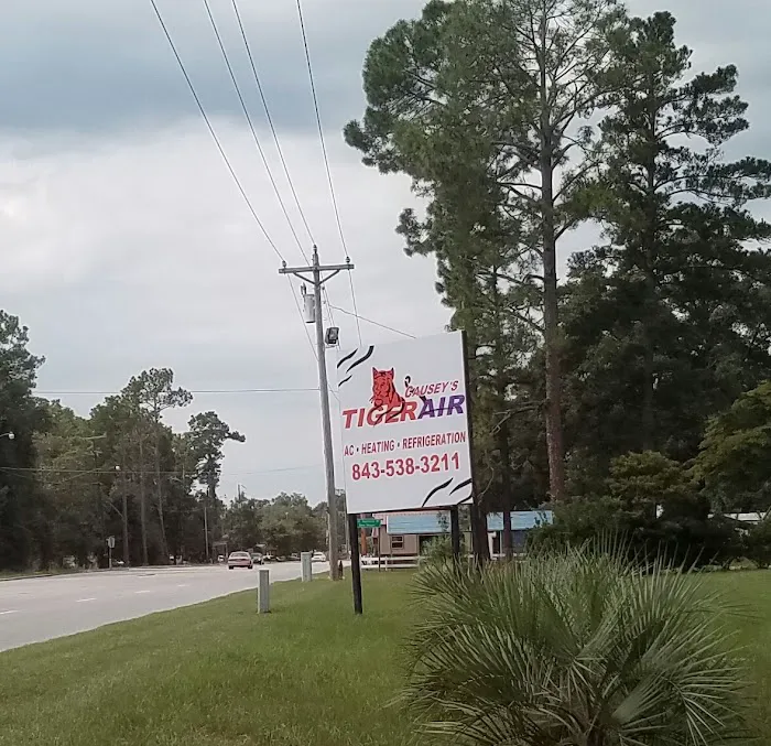 Causey's Tiger Air Picture 3